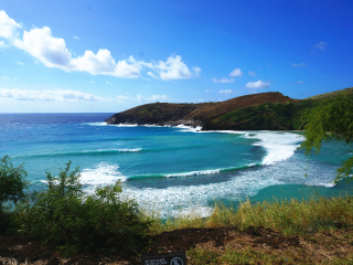 恐龙湾自然保护区