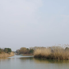 太湖湿地公园的#旅图换旅费#
