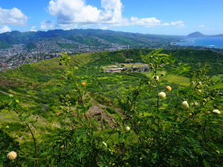 钻石头山