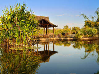 西双版纳原始森林公园