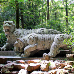 虎跑公园的#旅图换旅费# #旅拍# #公园#