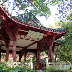 孤山的#旅图换旅费# #旅拍# #公园#