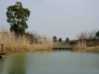 太湖湿地公园