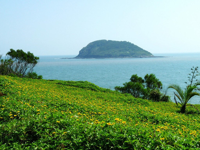  漳州火山島1日遊>含門票 午餐 暢遊地質公園_廈門_出發_途牛