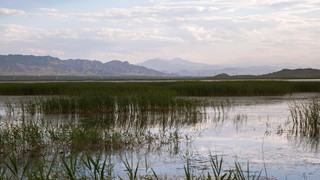 泛舟溱湖湿地国家公园