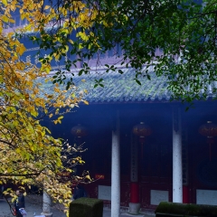 大佛寺的#旅图换旅费#