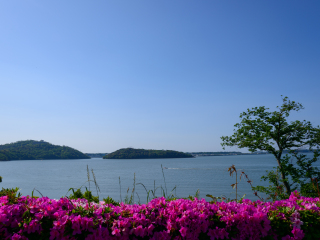 滨名湖