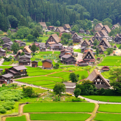 景点模块 