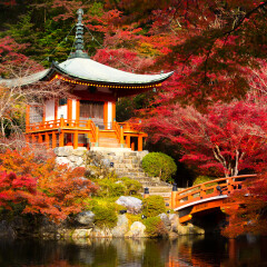 醍醐寺