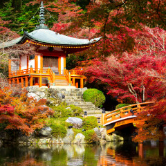 醍醐寺