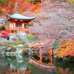 醍醐寺
