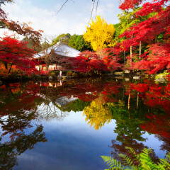 醍醐寺