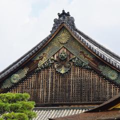 二条城的#旅图换旅费#