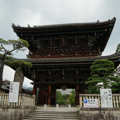 岚山的#旅图换旅费#