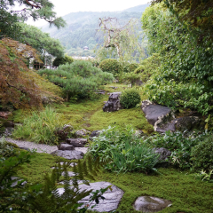 岚山的#旅图换旅费#