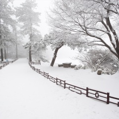 庐山