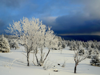 帽儿山国家森林公园