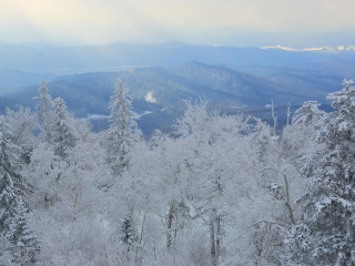 帽儿山国家森林公园
