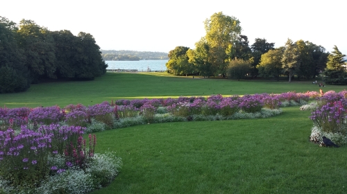 【英爱而生】英国爱尔兰+莫赫悬崖+巨人堤+基