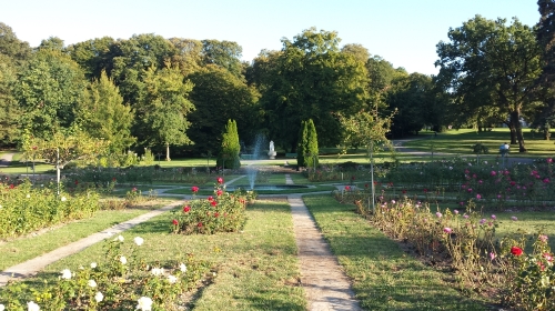 【英爱而生】英国爱尔兰+莫赫悬崖+巨人堤+基