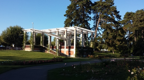 【英爱而生】英国爱尔兰+莫赫悬崖+巨人堤+基