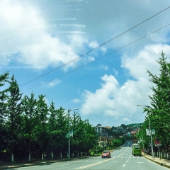 仙女山的#旅图换旅费#