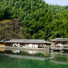 木坑竹海的#旅图换旅费#