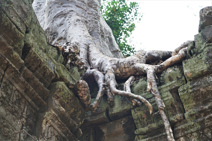 來到塔普隆寺,來這裡看的是