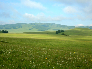 塞罕坝国家森林公园