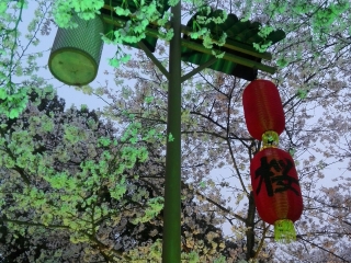 武汉东湖磨山景区