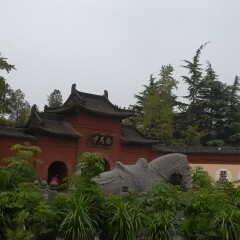 白马寺的#旅图换旅费#