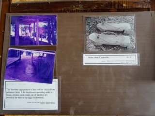 山区部落博物馆