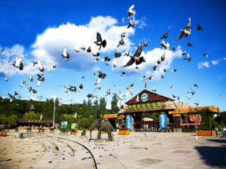 沈阳国家森林公园