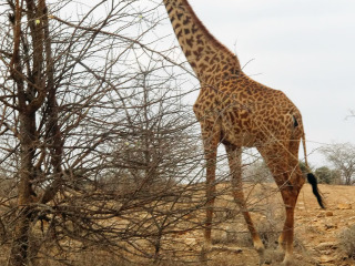 安博塞利国家公园