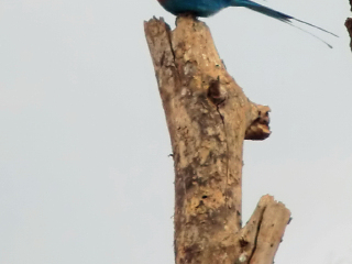 安博塞利国家公园