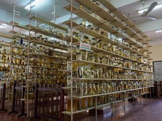 芽庄国家海洋博物馆