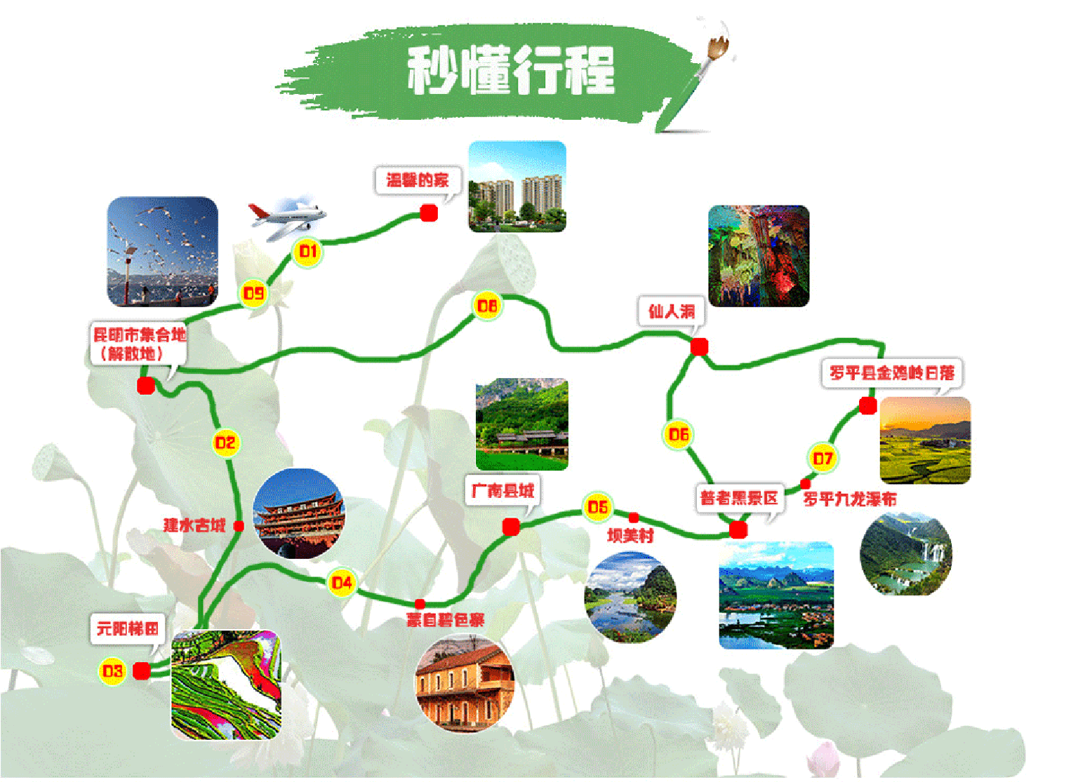 云南纯玩生态摄影之旅,全程独立用车,独立用导游