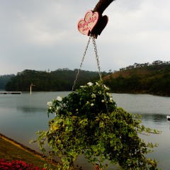 大叻情人谷的#旅图换旅费#