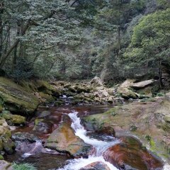 紫草潭的#旅图换旅费#