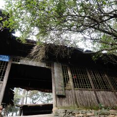 乌龙寨的#旅图换旅费#