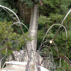 天波府的#旅图换旅费#