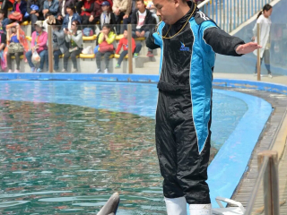 圣蓝皇家海洋公园