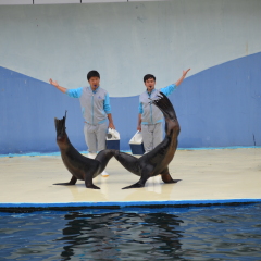 圣蓝海洋公园