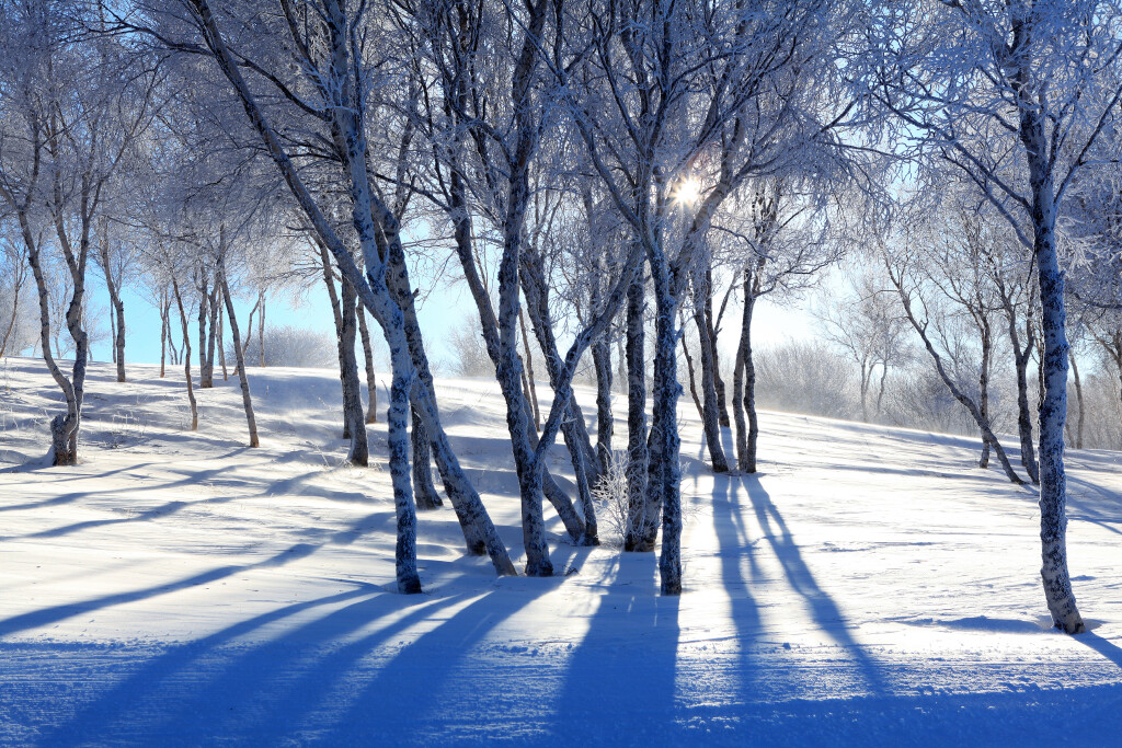  张家口-悦龙酒店自驾2日游>房型门票自选 温泉洗浴/万龙滑雪场