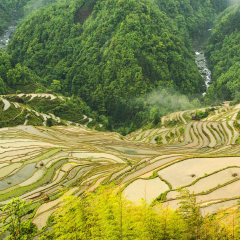 加榜梯田