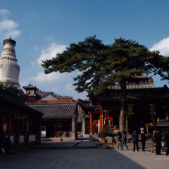 景点模块 