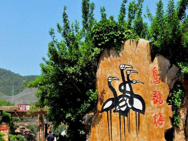 国内旅游 东北 大连 景点 · 鸟语林 鸟语林,迷人的鸟语林座落在虎滩