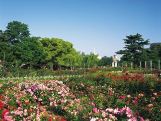 鹿儿岛县立吉野公园