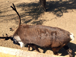 赛汗塔拉生态园