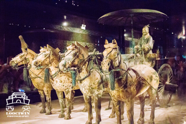 秦陵一号铜马车为"立车",是古代单辕双轮车并